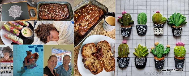 Vlog 1075/24 – banana bread, kaktusy a watsu